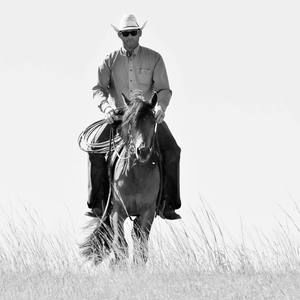 Meet your Posher, Randall